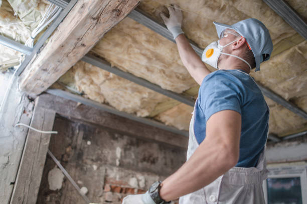 Best Insulation Installation Services in Sheridan, CA
