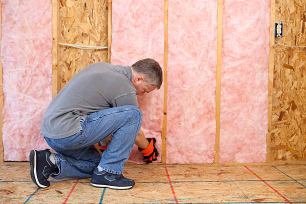 Best Types of Insulation in Sheridan, CA